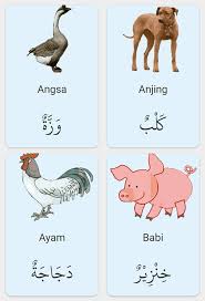 A z daftar nama hewan dalam bahasa inggris lengkap dengan gambar contoh kalimat dan arti grammar co id. Haiwan Dalam Bahasa Arab Nota Bahasa Arab Facebook