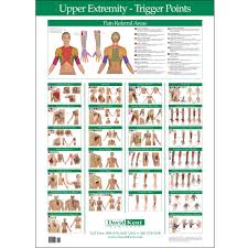 Trigger Point Charts 5 Chart Set Kent Health Systems