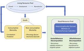 Reviewing the living environment : Frontiers Death And Decomposition In Aquatic Ecosystems Ecology And Evolution