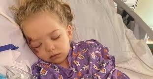 Driver arrested after critically injuring toddler in Minneapolis  hit-and-run