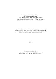 Pdf The Rights Of The Other Emmanuel Levinas S Meta Phenomenology As A Critique Of Hillel Steiner S An Essay On Rights Andrew Wilshere Academia Edu