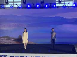 书香向北阅见未来｜“青年向北”大学生理论宣讲比赛举行- 中国日报网