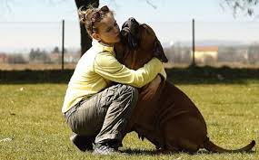 Maybe you would like to learn more about one of these? How To Become A Dog Trainer Success At School