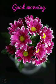 Good morning, god bless you another day. Pin On Good Morning