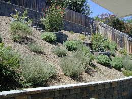 Award Winning Natural Landscape Design San Diego Landscape Design Sloped Garden Sloped Backyard