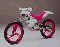 Image result for Bright Candy Plum 1990 Motorcycle