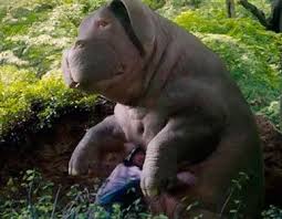 Okja Genetigi Degistirilmis Dunyalar Tatlisi Dev Bir Hayvanin Yasam Mucadelesi 2020 Hayvan Sinema Hayvanlar