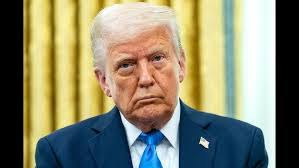 Jeannine Rossi's Instagram, Twitter & Facebook