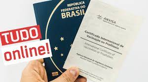 O certificado internacional de vacinação ou profilaxia civp é um documento que comprova que o viajante está devidamente vacinado contra febre o brasil é o primeiro país a emitir o certificado de forma online, gratuita e descentralizada. Agora Voce Pode Fazer O Certificado Internacional De Vacinacao Pela Internet Youtube