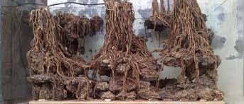 Kayu senggani pun memiliki ukuran yang tidak sebesar kayu rasamala. 10 Jenis Kayu Untuk Aquascape Yang Paling Sering Digunakan