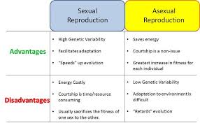 Pin On Science Teaching Ideas