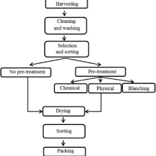 We did not find results for: Diagram Of Grapes Drying Download Scientific Diagram