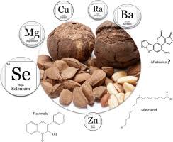 Brazil nuts contain high levels of monounsaturated fats, which are healthy fats. Brazil Nuts Nutritional Composition Health Benefits And Safety Aspects Sciencedirect