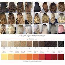 The level system of hair color is a universal system used by colorists, cosmetologists and hair color manufacturers to standardize hair color charts. The Best Hair Color Chart With All Shades Of Blonde Brown Red Black
