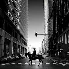 Silhouette Horse Street Photo Urban Landscape Street Photography