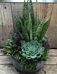 Top 5 Care Tips For Happy And Healthy Succulents Garden Tips West Coast Gardens Succulent Garden Diy Plants Succulents Garden