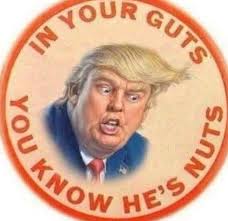 Christmas activities for a 4-year-old in Branson