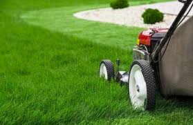 A louisville lawn care & landscaping company make your landscaping stand out & save on watering costs! Lawn Mowing Weekly Grass Cutting Services In North York And Toronto