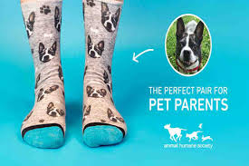 Why You Should Buy Socks From Divvyup Hotdeals Blog