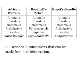 1 St Highlight Underline Circle The Key Words That Help