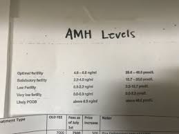 Amh Results Trying For A Baby Babycenter Canada