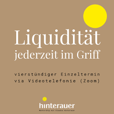 Was ist ein liquiditätsplan, was eine liquiditätsplanung? Liquiditatsplan Erstellen Vierstundiger Einzeltermin Mit Claudia Hinterauer Hinterauerconsulting Elopage