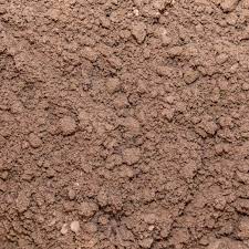 Sandy Loam Newcomb Sand Soil