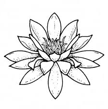 Imagini pentru desene in creion simple de primavara desene. Desene De Colorat Cu Flori 12 Planse De Colorat Si Educative