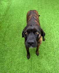 تمت إضافة ‏صورة جديدة‏ بواسطة ‏‎Big...