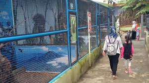 Selain itu, harga tiket masuk umbul sidokmukti murah lho!. Tiket Masuk Umbul Madiun 2021 Madiun Umbul Square Pemandian Air Hangat Yang Pernah Mati Suri