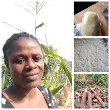 GEICO's #Flutter journey and innovation