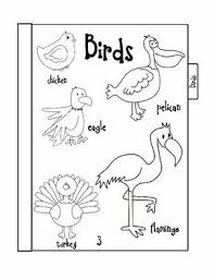 Animal Groups Printable Book Animal Groups Printable Books Nonfiction Texts