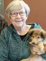 Search continues at Curtain Falls