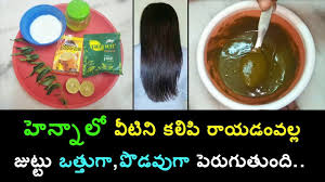 #1 henna improves hair growth the natural properties of henna promote hair growth. How To Mix Henna For Thick Hair Growth In Telugu Henna Pack For Hair Growth In Telugu Thick Hair Growth Hair Growth Tips In Telugu Thick Hair Styles