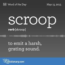 Scroop Word Of The Day Dictionary Com Uncommon Words Harsh Words Word Of The Day