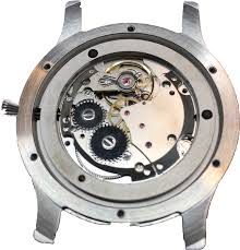 Complete components of one 38mm expedition series mechanical watch watch case: Build Your Own Watch