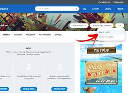 Serwis społecznościowy nk.pl umożliwia kontakt z przyjaciółmi i znajomymi online. Jak Usunac Konto Na Nk Dane Osobowe I Profil Krok Po Kroku