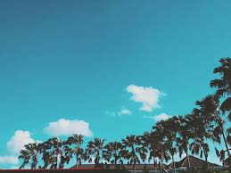 Only Chill Vibes Wheninbali Tropical Vsco Vscohighlights Chillvibes Chillvibes Instagram Vibes Chill