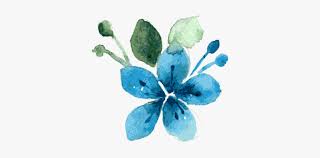 A creative design with watercolor strokes; Blue Watercolor Floral Flowers Watercolor Png Blue Transparent Png Kindpng