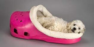Well now they can with this giant shoe shaped dog bed. Gadgets Ideas