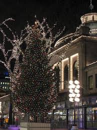 Quincy Market Christmas Tree Christmas Destinations Christmas Tree Outside New England