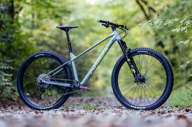 Image result for Orbea longidens