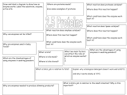 You will find conditions that allow your starch digestion to be complete within this time period. Ppt Why Can Enzymes Not Be Killed Powerpoint Presentation Free Download Id 4423308