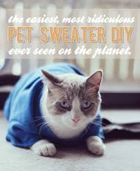 The luck runs out of the horseshoe if it is upside down. Adorable Outfits Diy Cat Clothing For Your Furry Friend