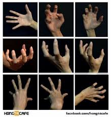 일러스트에서 많이 연출되는 손모양 손가락 표현 사진 네이버 블로그 2020 손 그리기 손 참조 손 그리는 법