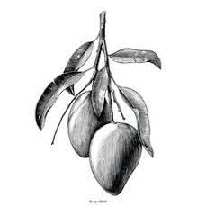 Pin On Daybreak Keiki