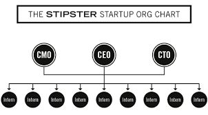 stipster startup hipster org chart more interns than