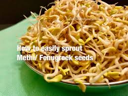 How To Sprout Methi Fenugreek Seeds Food Fitness Beauty And More Recipe Ayurvedic Recipes Fenugreek Seeds Fenugreek