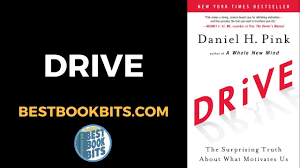 Daniel pink writes this book as a companion piece to most of the books related behavioral economics. Daniel Pink Drive Book Summary Bestbookbits Daily Book Summaries Written Video Audio