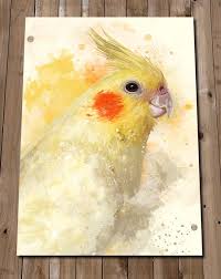 Cockatiel Art Print Yellow Cockatiel Pet Bird Painting Etsy In 2021 Birds Painting Animal Paintings Art Prints